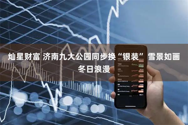 灿星财富 济南九大公园同步换“银装” 雪景如画冬日浪漫